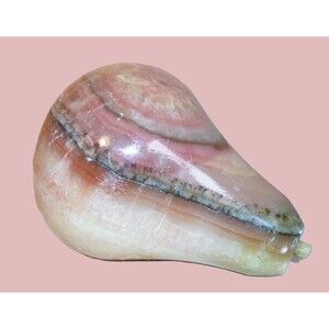 Vintage MCM Carved Marble Stone Alabaster Fruit ~ Pear ~ Pink Tan Green tones 3"